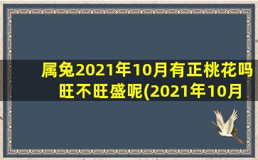 属兔2021年10月有正桃花吗 旺不旺盛呢(2021年10月属兔人的桃花运势：看中度不如看缘分，可多参加社交活动提升气场)